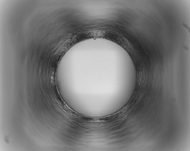 X0000101420553200807071034
