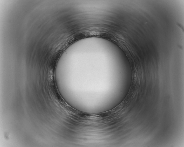 X0000101420555200807071034