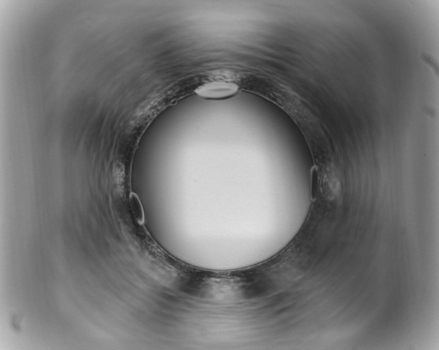 X0000101420556200807071034