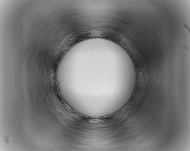 X0000101420557200807071034