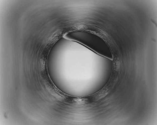 X0000101420558200807071034