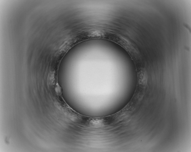 X0000101420560200807071034