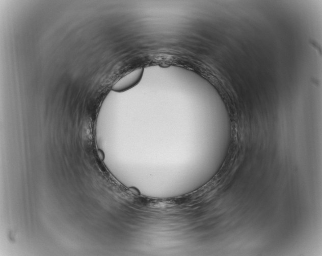 X0000101420561200807071034