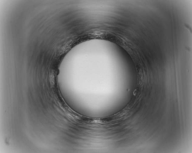 X0000101420562200807071034
