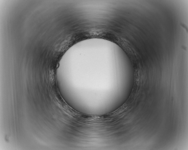 X0000101420563200807071034
