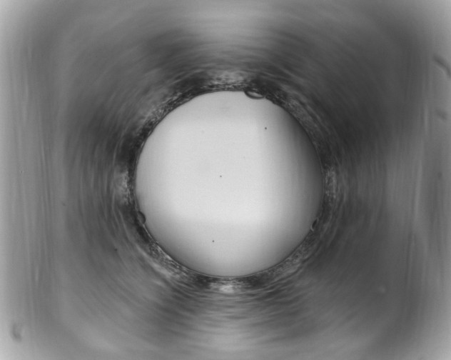 X0000101420564200807071034