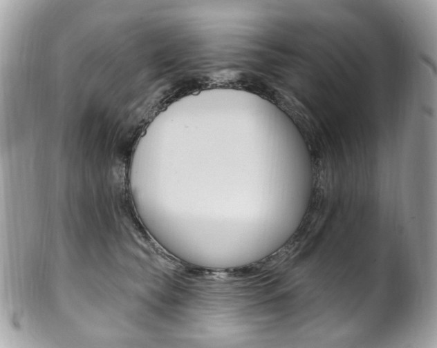 X0000101420565200807071034