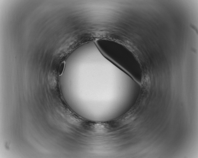 X0000101420566200807071034