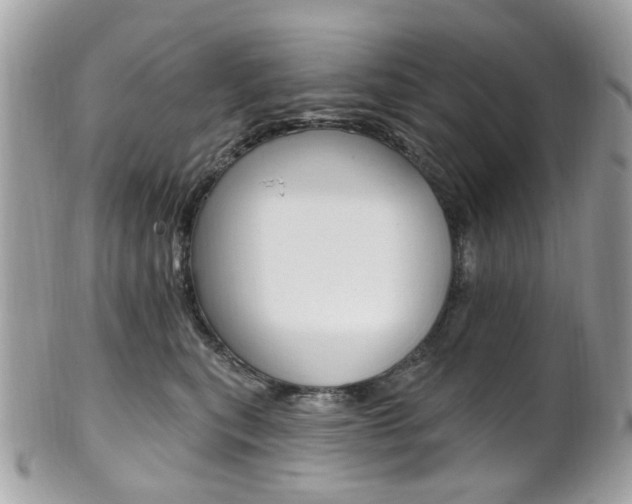 X0000101420567200807071034