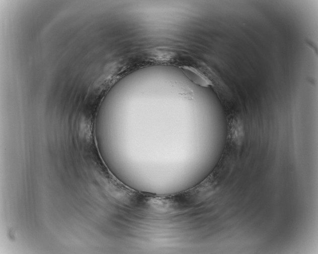 X0000101420568200807071034