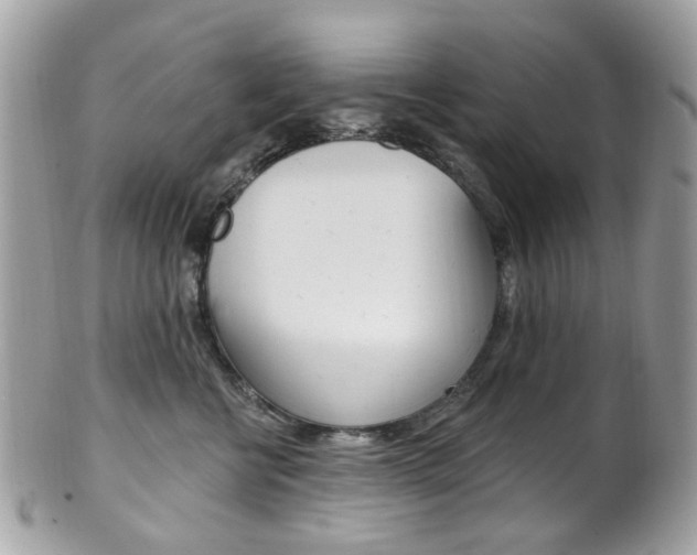 X0000101420570200807071034