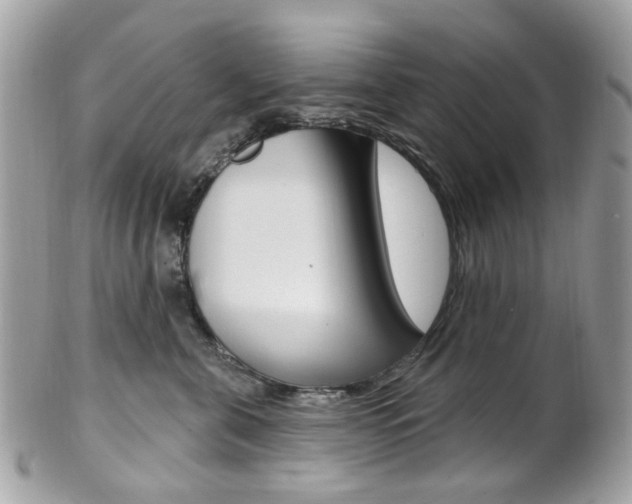 X0000101420571200807071034