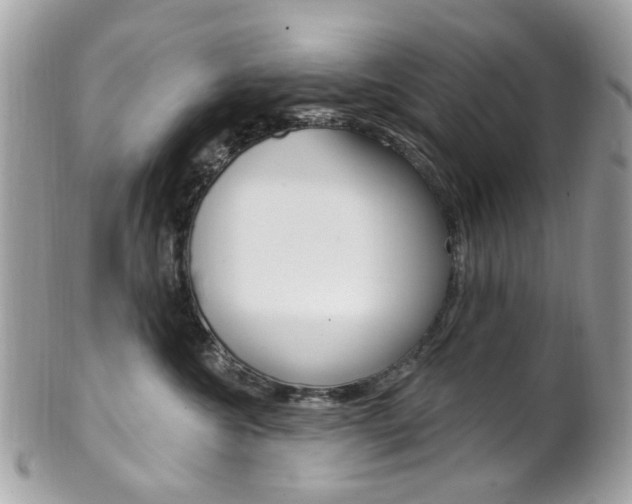 X0000101420572200807071034