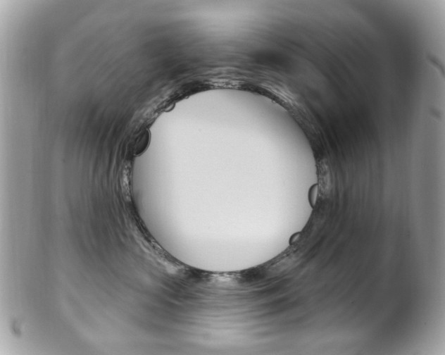 X0000101420573200807071034