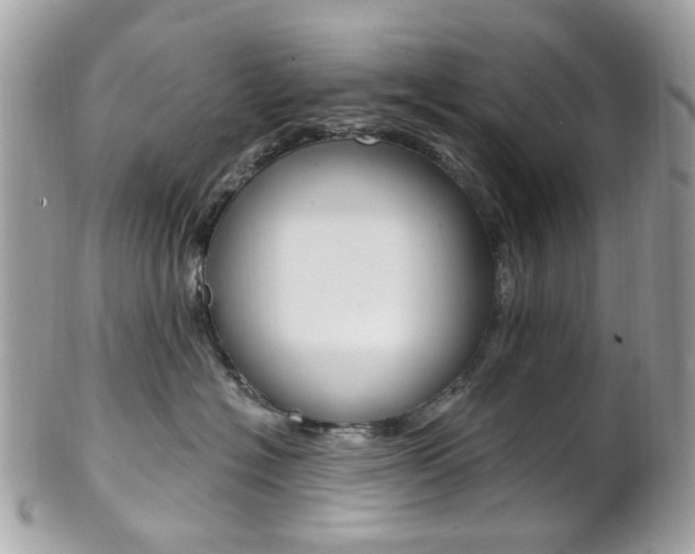 X0000101420574200807071034