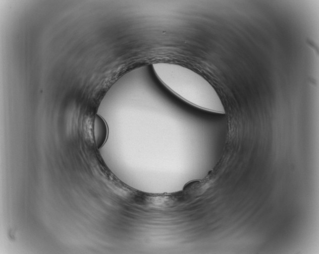 X0000101420575200807071034
