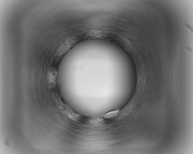 X0000101420576200807071034