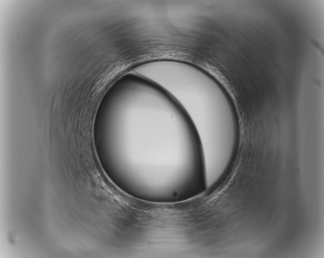 X0000101420577200807071033