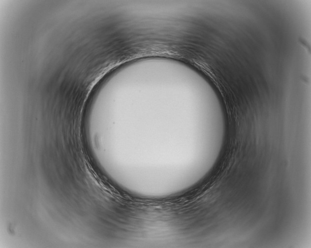 X0000101420579200807071033