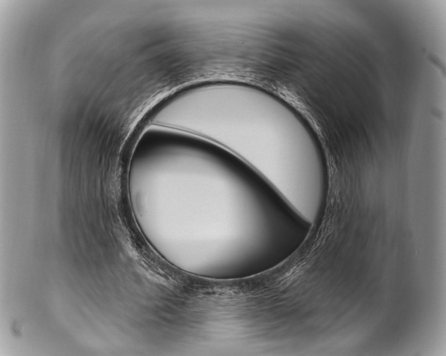 X0000101420580200807071033