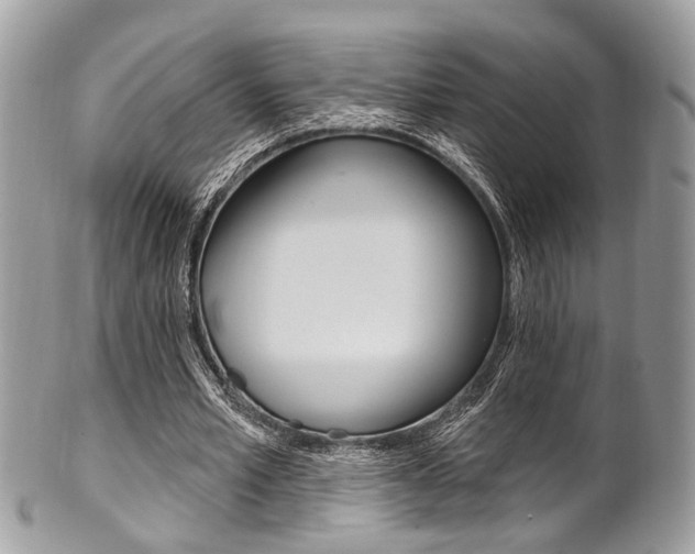X0000101420581200807071033