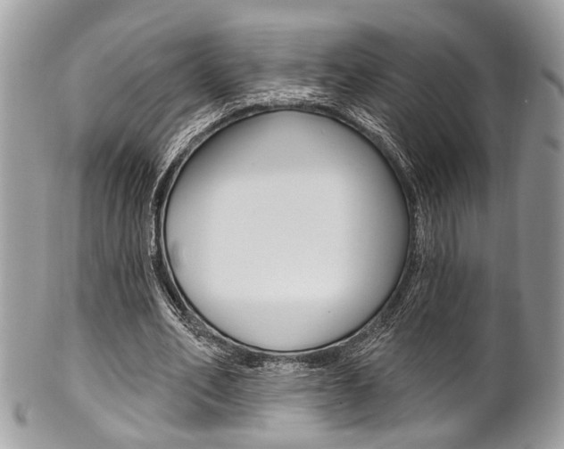X0000101420582200807071033