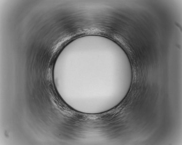 X0000101420583200807071033