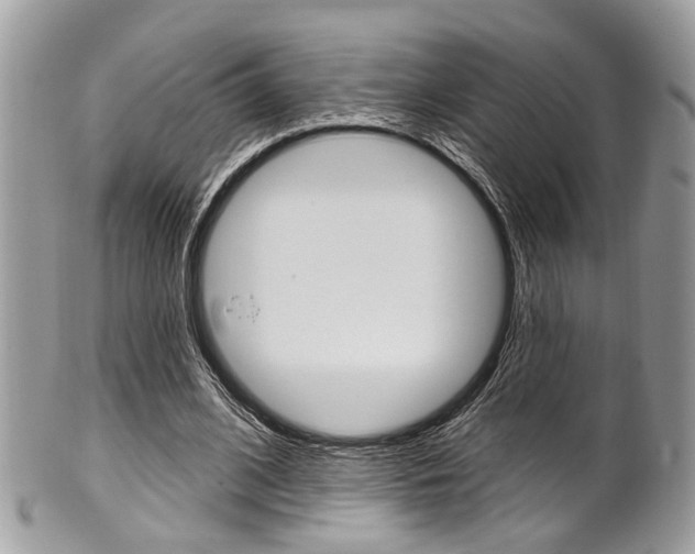 X0000101420584200807071033