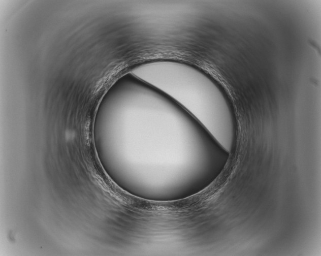 X0000101420585200807071033