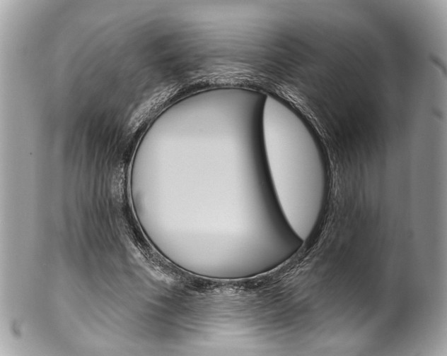 X0000101420586200807071033
