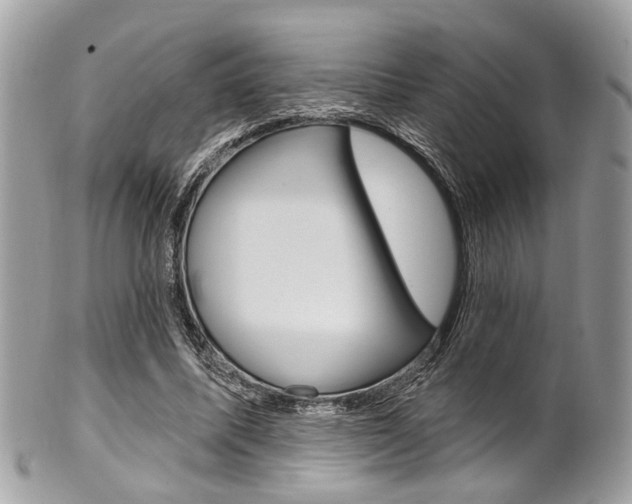 X0000101420587200807071033