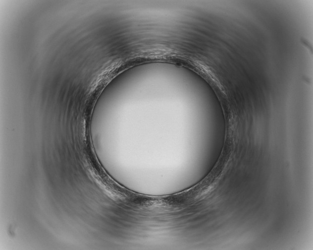 X0000101420589200807071033