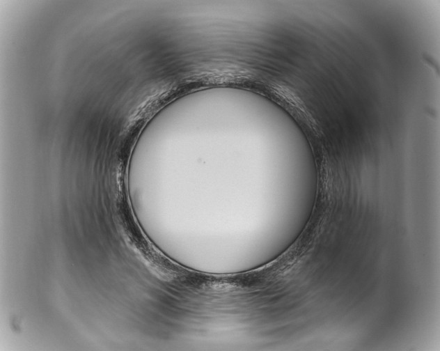 X0000101420590200807071033