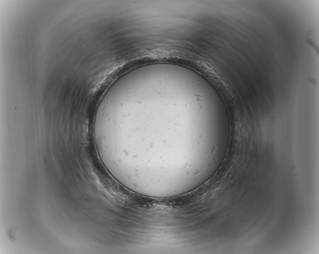 X0000101420592200807071033