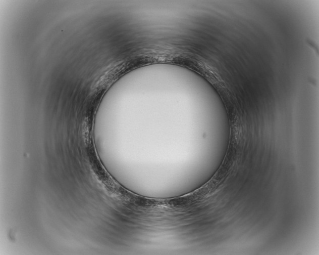 X0000101420594200807071033