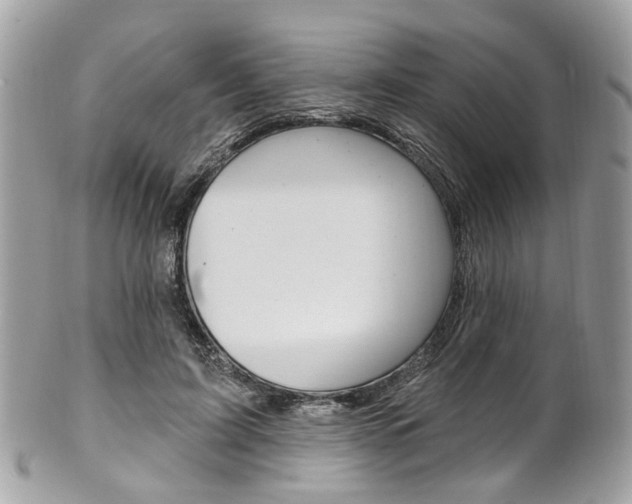 X0000101420595200807071033