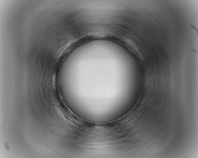 X0000101420596200807071033