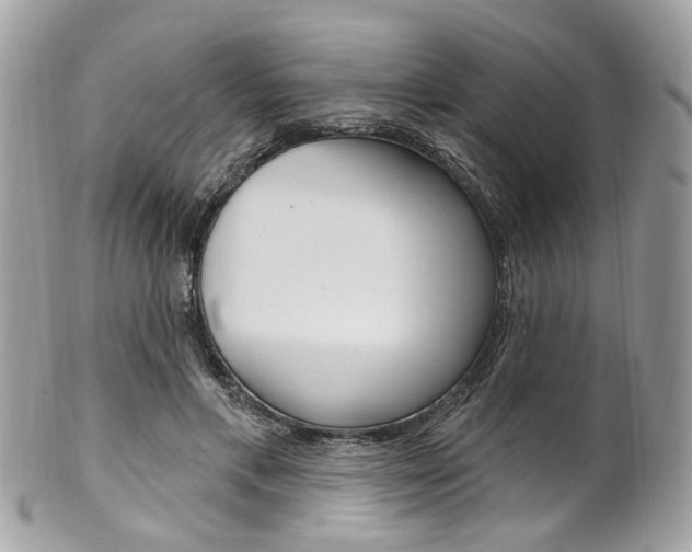 X0000101420597200807071033