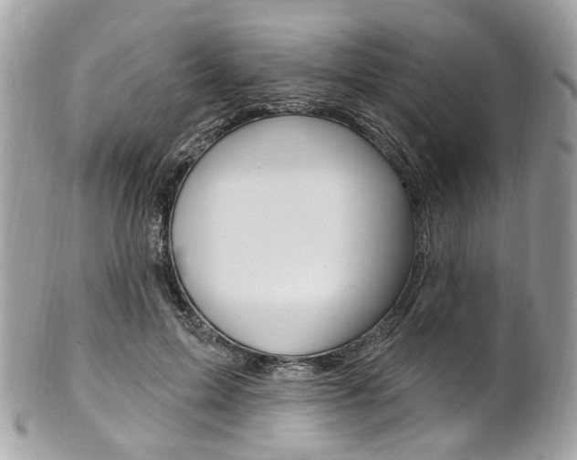 X0000101420599200807071033