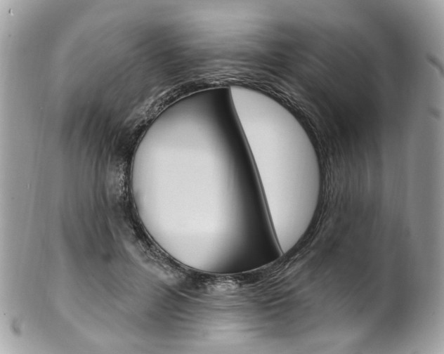 X0000101420600200807071033