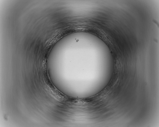 X0000101420601200807071033