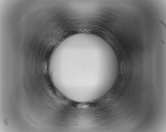 X0000101420602200807071033