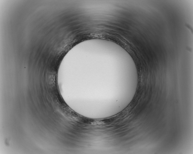 X0000101420603200807071033