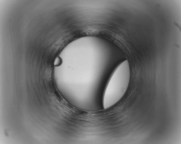 X0000101420604200807071033