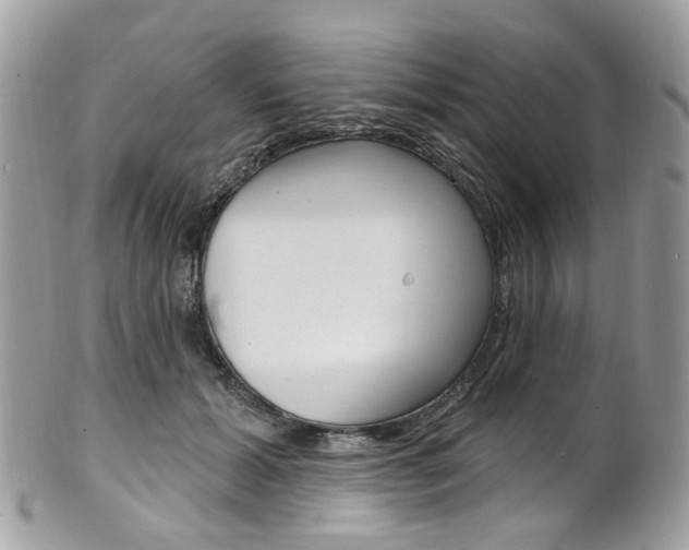 X0000101420605200807071033