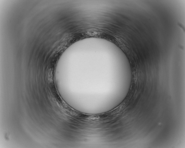 X0000101420606200807071033
