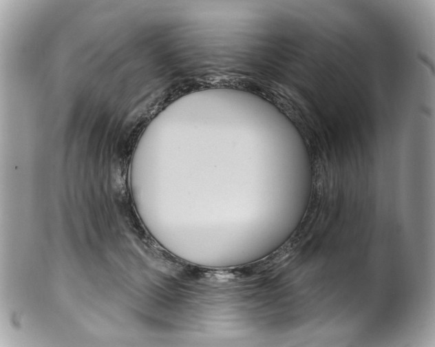 X0000101420607200807071033