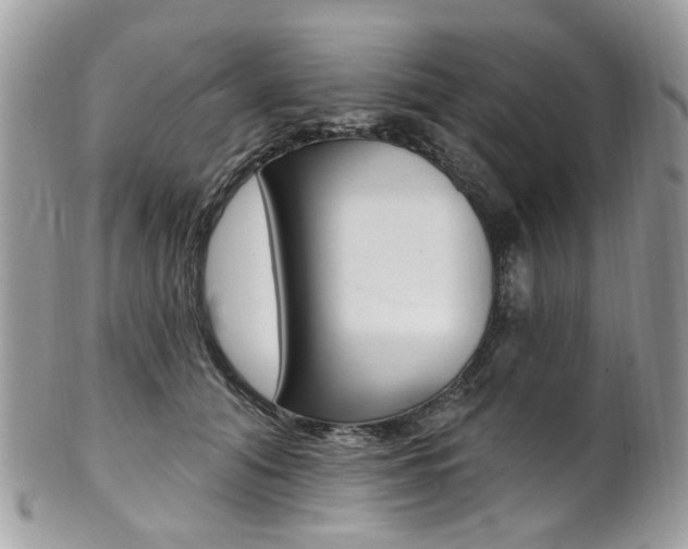 X0000101420608200807071033