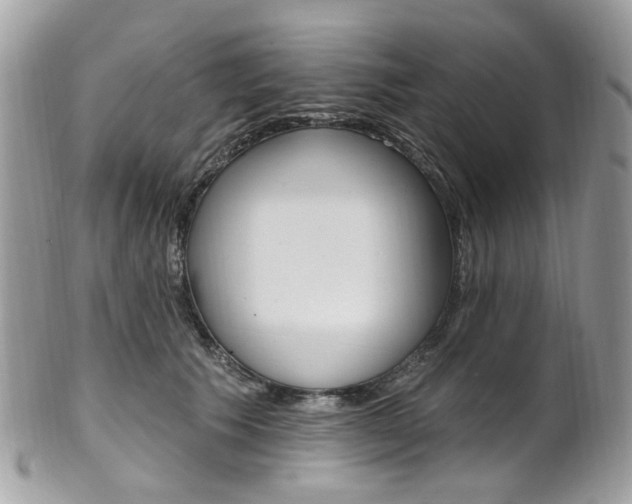 X0000101420609200807071033