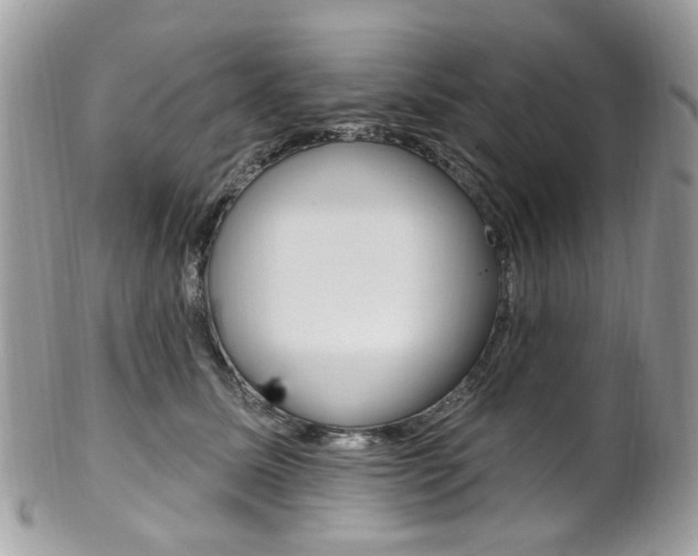 X0000101420611200807071033